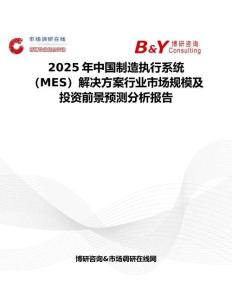 2025年中国制造执行系统（MES）解决方案行业市场规模及投资前景预测分析报告