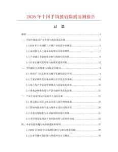 2026年中国手钩披肩数据监测报告.docx