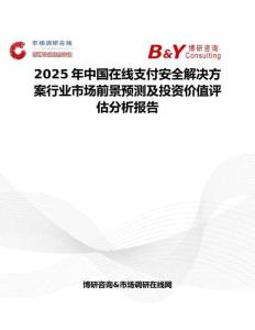 2025年中国在线支付安全解决方案行业市场前景预测及投资价值评估分析报告