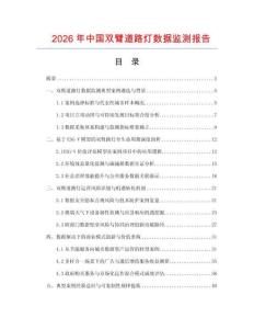 2026年中国双臂道路灯数据监测报告.docx