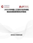 2025年中国人工宝石行业市场规模及投资前景预测分析报告