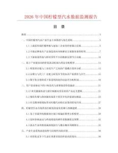 2026年中国柠檬型汽水数据监测报告.docx