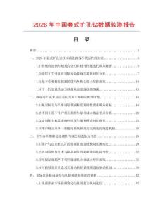 2026年中国套式扩孔钻数据监测报告.docx
