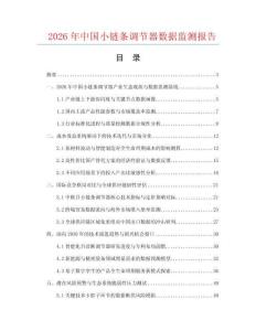 2026年中国小链条调节器数据监测报告.docx
