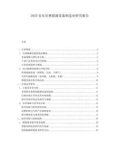 2025安东尼奥能源设备制造业研究报告.docx