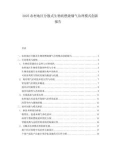 2025农村地区分散式生物质燃烧烟气治理模式创新报告.docx