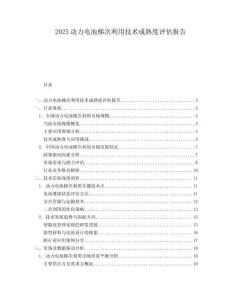 2025动力电池梯次利用技术成熟度评估报告.docx