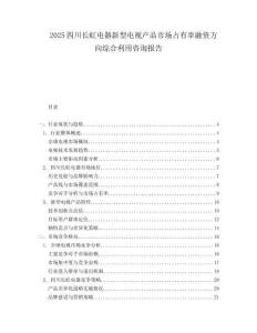 2025四川长虹电器新型电视产品市场占有率融资方向综合利用咨询报告.docx