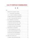 2026年中国两柱举升机数据监测报告.docx