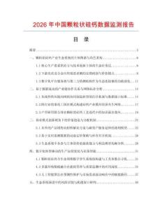 2026年中国颗粒状硅钙数据监测报告.docx
