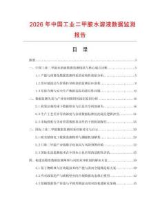 2026年中国工业二甲胺水溶液数据监测报告.docx