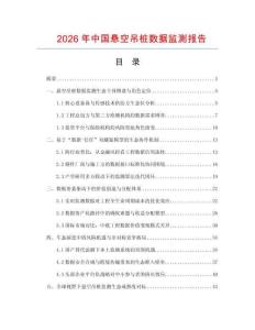 2026年中国悬空吊桩数据监测报告.docx