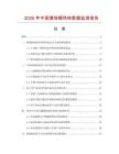 2026年中国漂珠隔热砖数据监测报告.docx