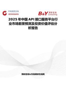 2025年中国API接口服务平台行业市场前景预测及投资价值评估分析报告
