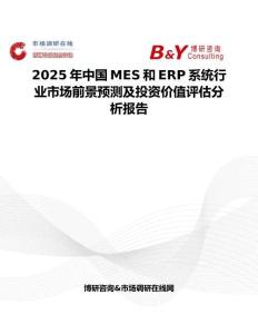 2025年中国MES和ERP系统行业市场前景预测及投资价值评估分析报告