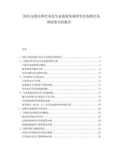 2025安提瓜和巴布达生态旅游发展研究及加勒比岛国投资分析报告.docx
