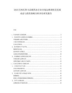 2025巴西匹鲁卡品眼药水行业市场运维调研及发展动态与投资策略分析评估研究报告.docx