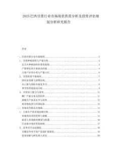2025巴西甘蔗行业市场现状供需分析及投资评估规划分析研究报告.docx