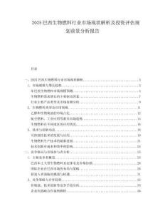 2025巴西生物燃料行业市场现状解析及投资评估规划前景分析报告.docx