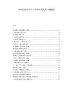 2025巴西畜牧业市场中长期发展方向报告.docx