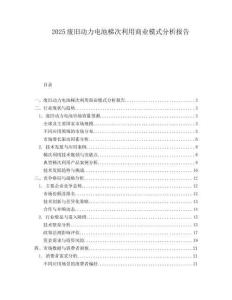 2025废旧动力电池梯次利用商业模式分析报告.docx