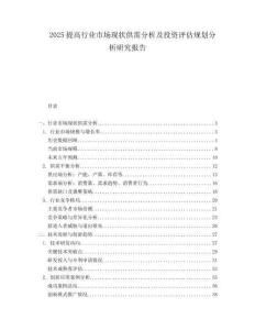 2025提高行业市场现状供需分析及投资评估规划分析研究报告.docx