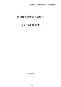 贵州某烧结砖瓦大型项目可行性研究报告