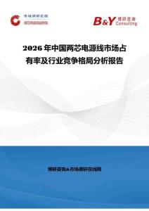 2026年中国两芯电源线市场占有率及行业竞争格局分析报告