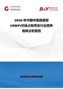 2026年中国中型救援泵 (MRP)市场占有率及行业竞争格局分析报告
