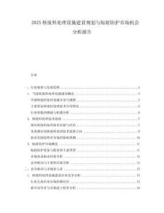 2025核废料处理设施建设规划与辐射防护市场机会分析报告.docx