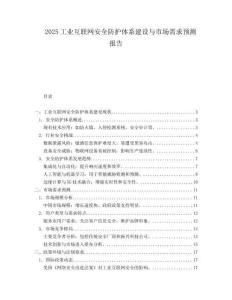 2025工业互联网安全防护体系建设与市场需求预测报告.docx