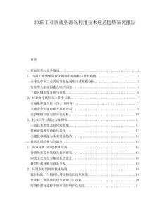 2025工业固废资源化利用技术发展趋势研究报告.docx