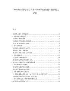 2025热水器行业专利布局分析与企业技术创新能力评价.docx