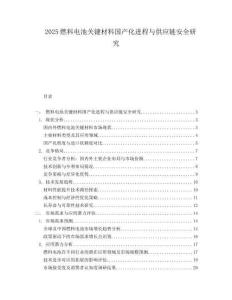 2025燃料电池关键材料国产化进程与供应链安全研究.docx