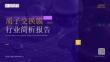 2026质子交换膜行业简析报告