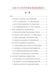 2026年中国手织假发数据监测报告.docx