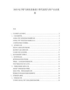 2025电子特气纯化设备进口替代进度与客户认证流程.docx
