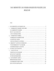 2025碳纳米管行业市场驱动因素供需评估投资方案规划分析.docx