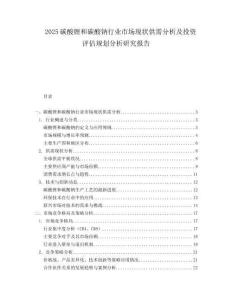 2025碳酸锂和碳酸钠行业市场现状供需分析及投资评估规划分析研究报告.docx