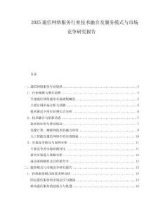 2025通信网络服务行业技术融合及服务模式与市场竞争研究报告.docx