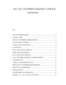 2025文创IP联名购物袋市场溢价能力与消费者接受度调查报告.docx