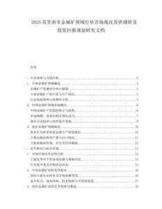 2025苏里南非金属矿领域行业市场现况需供调研及投资回报规划研究文档.docx