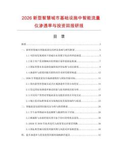 2026新型智慧城市基础设施中智能流量仪渗透率与投资回报研报.docx