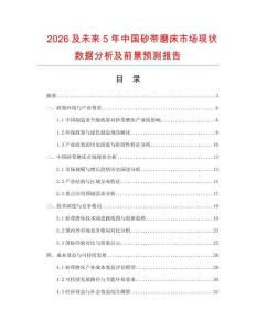 2026及未来5年中国砂带磨床市场现状数据分析及前景预测报告.docx