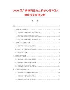 2026国产高端调直拉丝机核心部件进口替代投资价值分析
