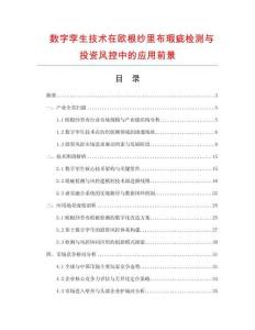 数字孪生技术在欧根纱里布瑕疵检测与投资风控中的应用前景
