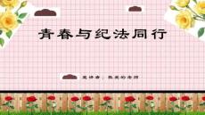 预防青少年犯罪教育主题班会PPT课件（共23页PPT）