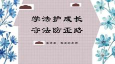 预防青少年犯罪PPT课件