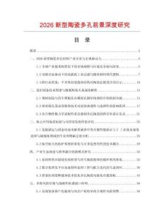 2026新型陶瓷多孔前景深度研究.docx