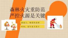 【精品】森林草原防火知识讲座ppt